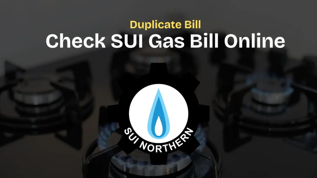sngpl duplicate bill - sui gas bill check online